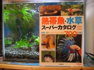 熱帯魚・水草スーパーカタログ2008-2009