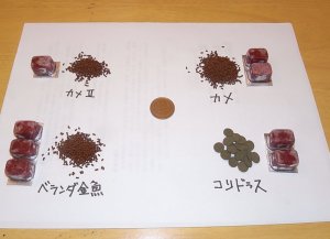 １週間分のエサ