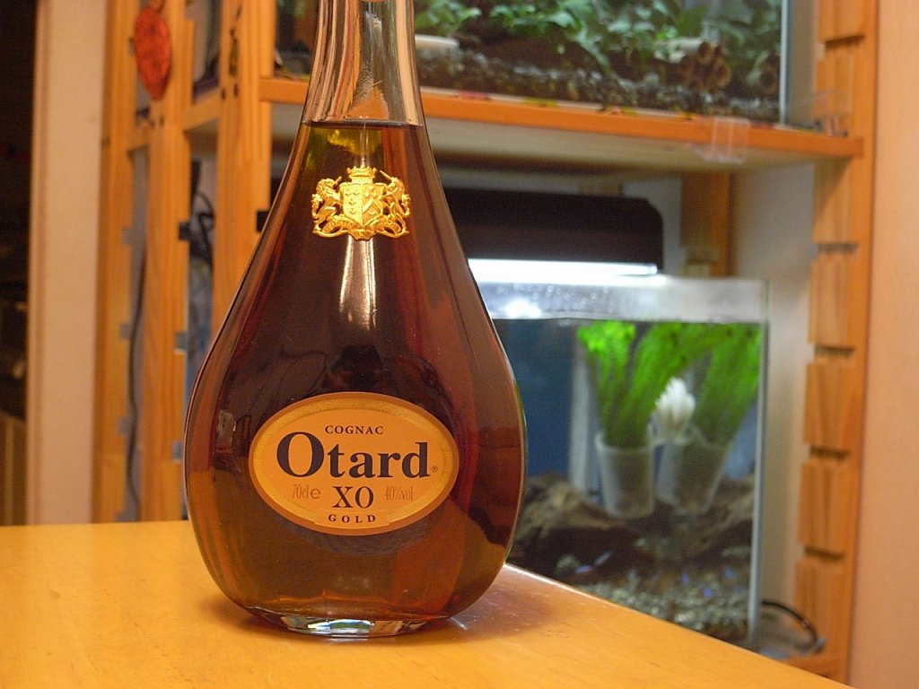 オタール