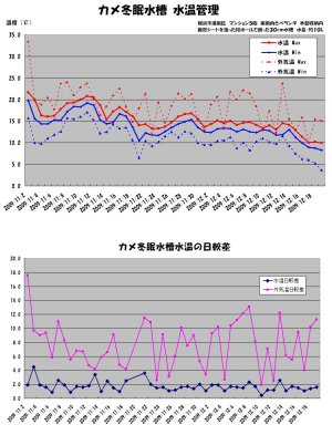 冬眠準備水槽水温