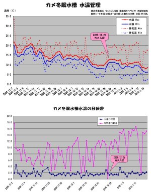 カブトニオイガメ冬眠水槽水温