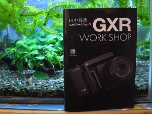 ＧＸＲワークショップ