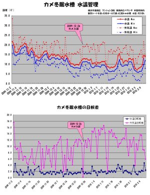 カメ冬眠水槽水温