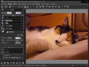 RAW現像ソフト「SILKYPIX」