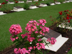 英連邦戦死者墓地の花