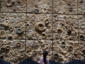 神奈川県立生命の星・地球博物館