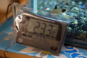 防水措置を施したデジタル水温計
