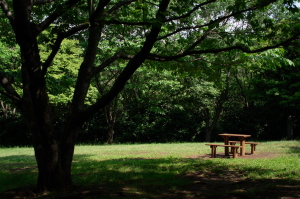 舞岡公園のテーブル